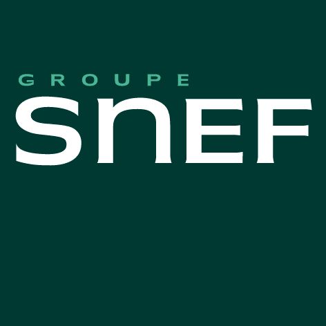 SNEF Logo de l'entreprise SNEF