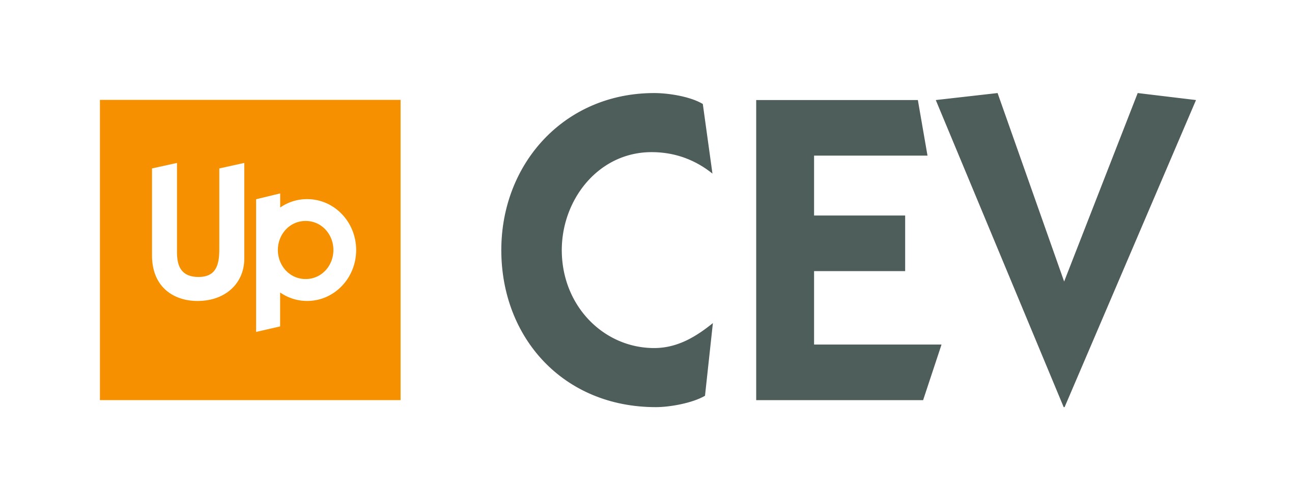 Logo de l'entreprise CEV GROUP