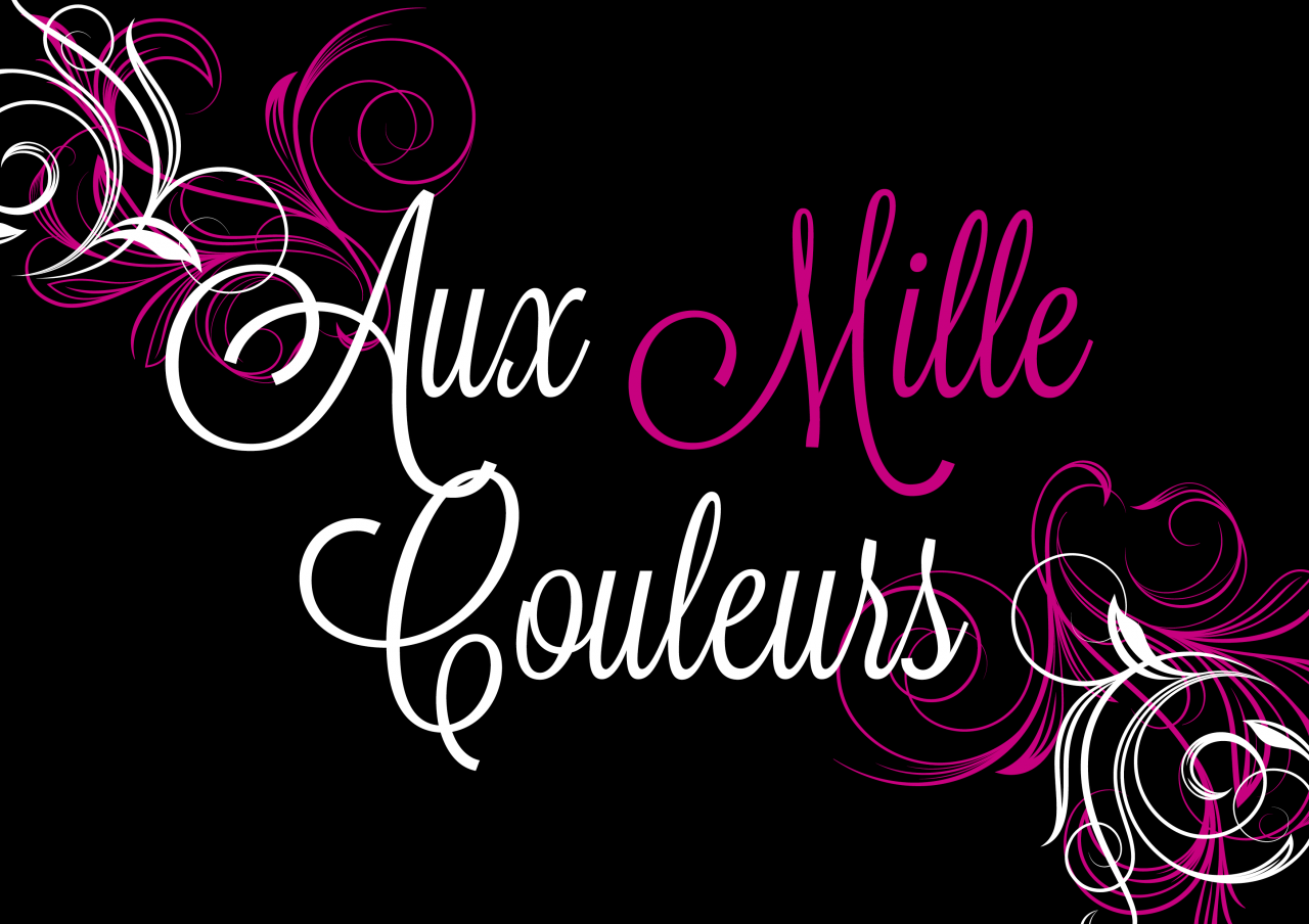 AUX MILLE COULEURS Logo de l'entreprise AUX MILLE COULEURS