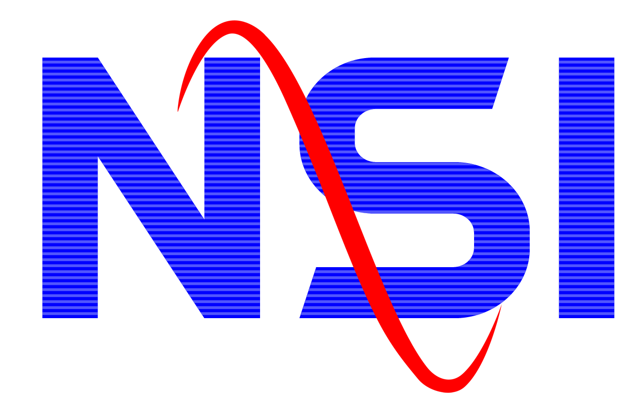 Logo de l'entreprise NSI