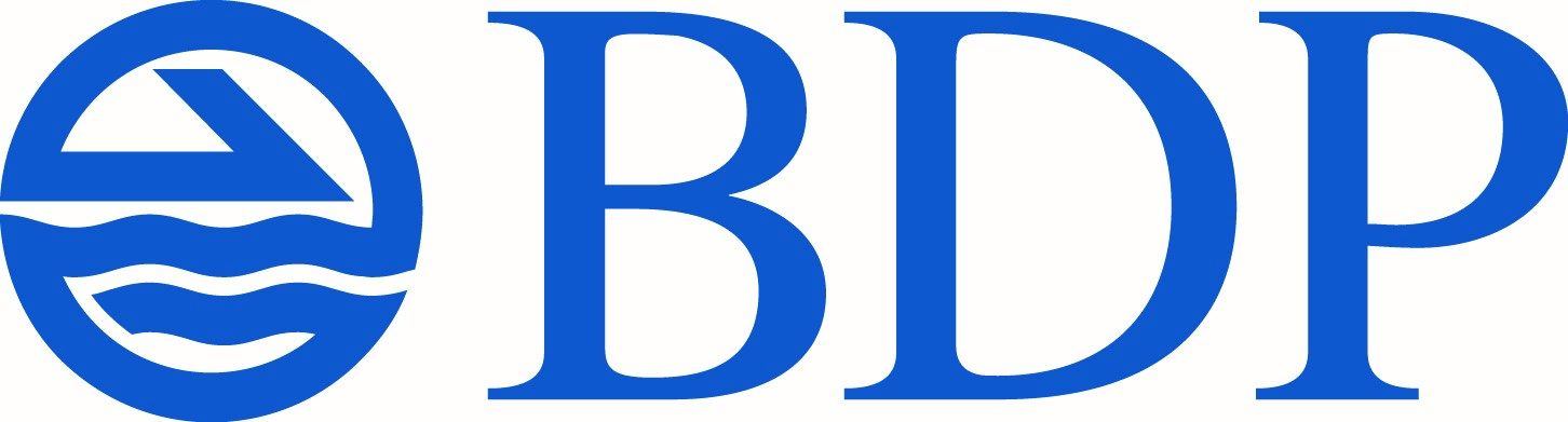 Logo BDP INTERNATIONAL