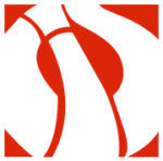 Logo de l'entreprise CIS SERVICES
