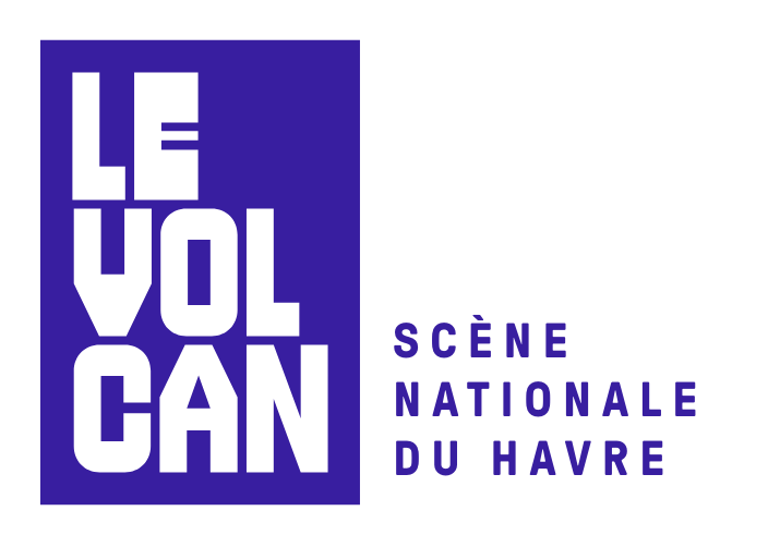 Logo de l'entreprise LE VOLCAN