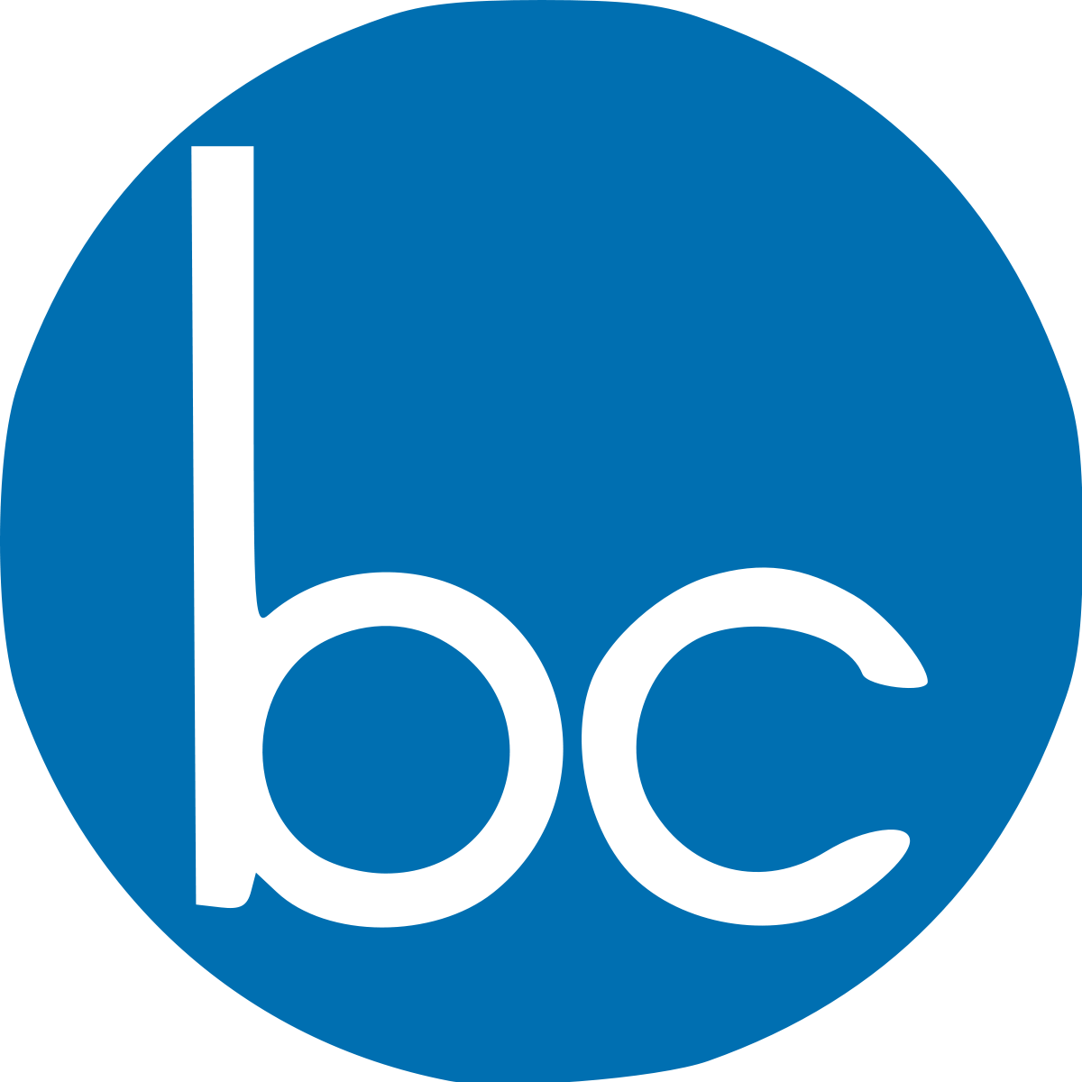 Logo de l'entreprise BAUDIN CHATEAUNEUF 